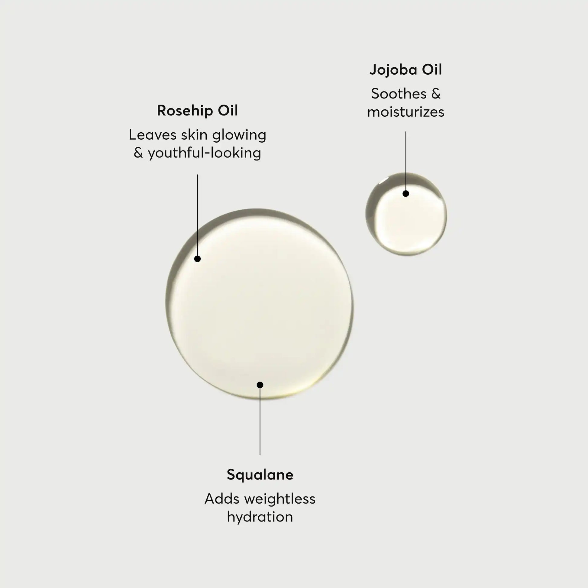 the-glow-getter-body-oil-x4 NATR-10115-Alt-Images-The-Glow-Getter-Body-Oil-01.webp