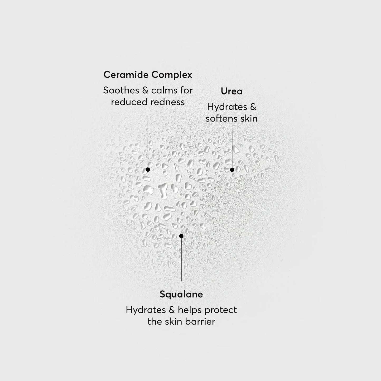 barrier-bounce-bi-phase-mist-r6 NATR-10167-Alt-Images-Barrier-Bounce-Bi-Phase-Toner-Mist_01.webp