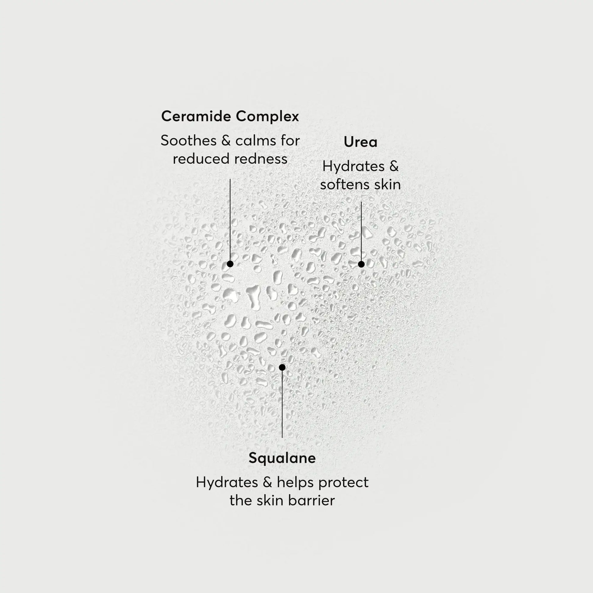 barrier-bounce-bi-phase-mist-r6 NATR-10167-Alt-Images-Barrier-Bounce-Bi-Phase-Toner-Mist_01.webp